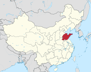 Qingdao Shengtongheyue Trade Co., Ltd